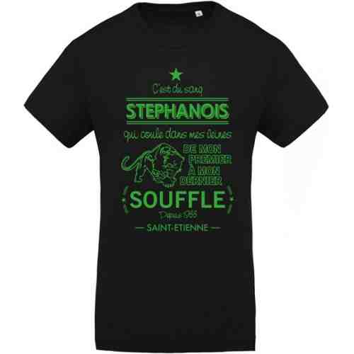 shirt, sang, stephanois
